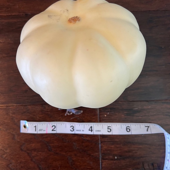 Fall Decor - Picture 14 of 14